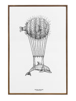 Montgolfiers Dolphin Fine art print