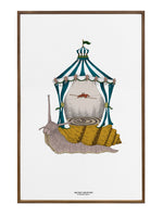 Searcus Snail Fine art print