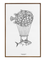 Montgolfiers Tuna Fine art print
