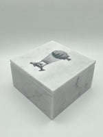 Montgolfiers Bianco Carrara box