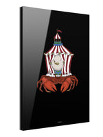 Searcus Crab acrylglass