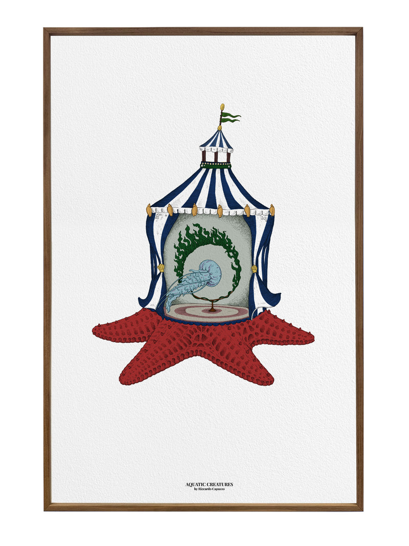 Searcus Starfish Fine art print