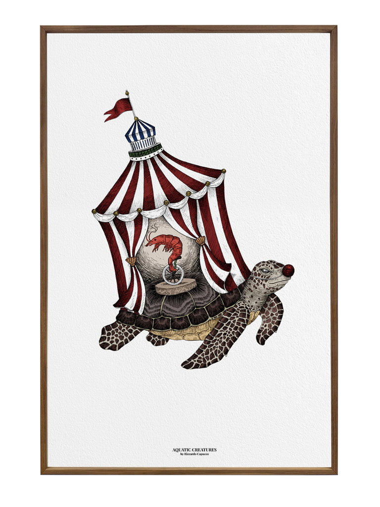 Searcus Turtle Fine art print