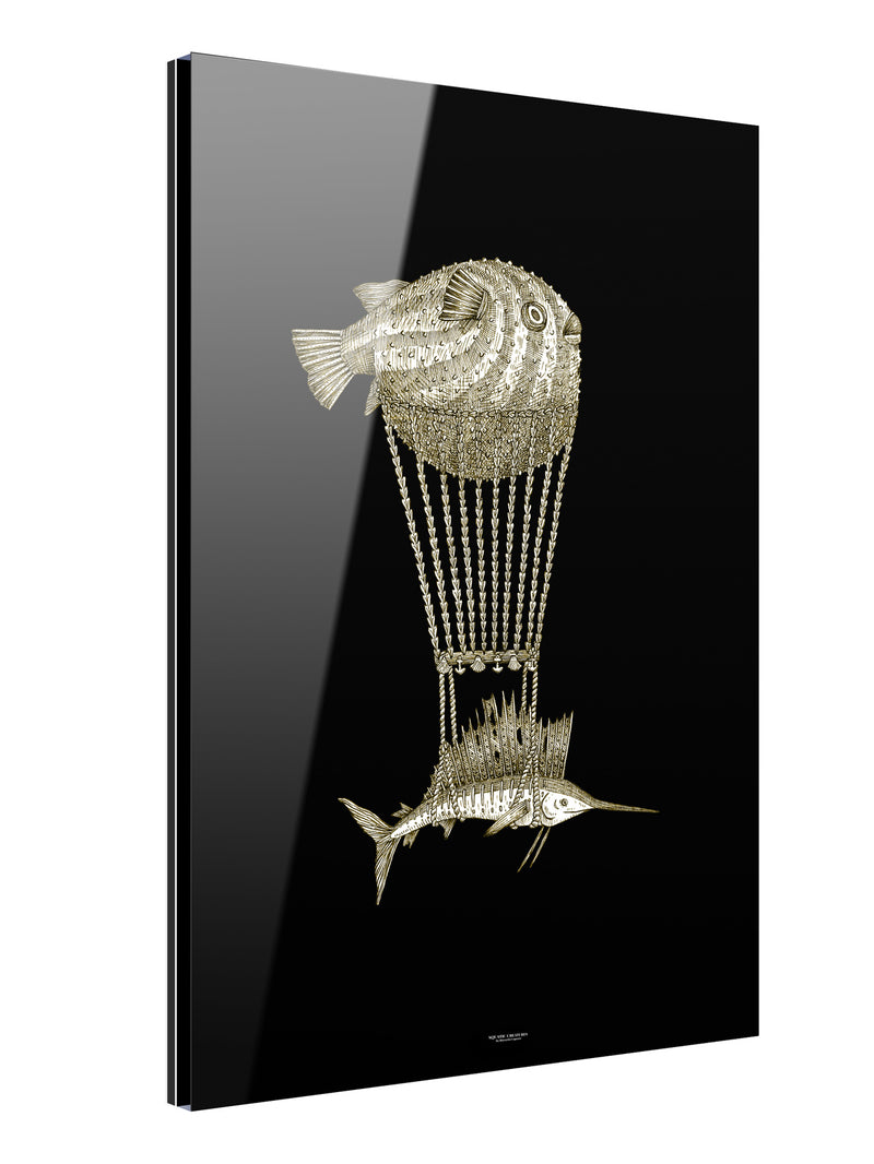 Montgolfier Segeln Fisch Acrylglas