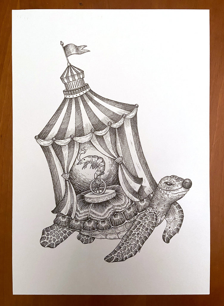 Turtle searcus ink drawing